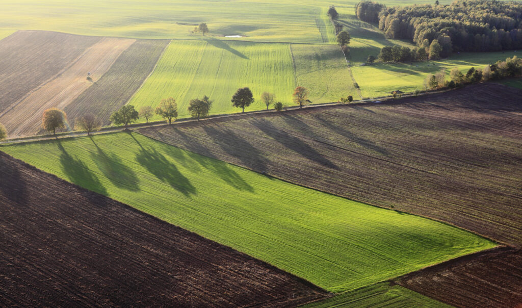 Aerial photo of farm landscape with row of trees