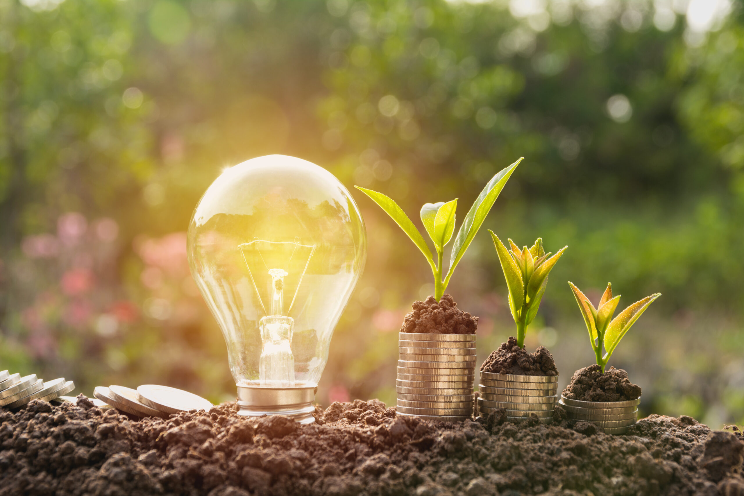 Energy saving light bulb and tree growing on stacks of coins on nature background Saving, accounting and financial concept