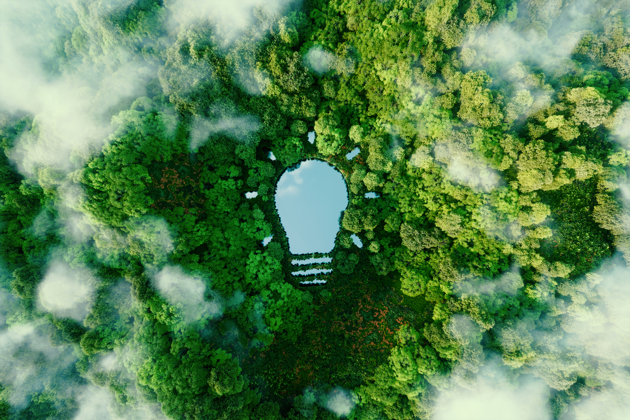 A bulb shaped lake in the middle of a lush forest, symbolizing fresh ideas, inventiveness and creativity in relation to solving environmental problems d rendering