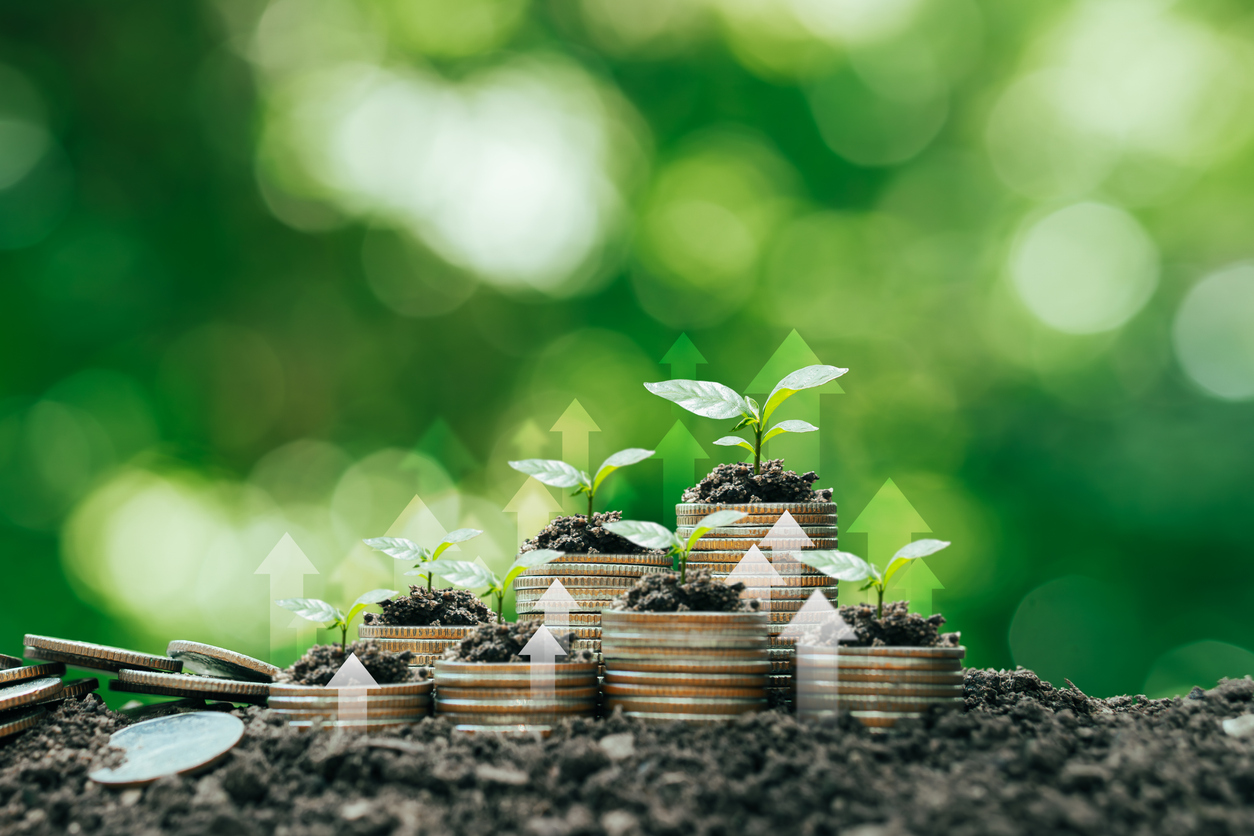 Coins stacked on the ground and seedlings grow in green business investment Concepts of savings and financial growth, environmental, social and governance in sustainable business