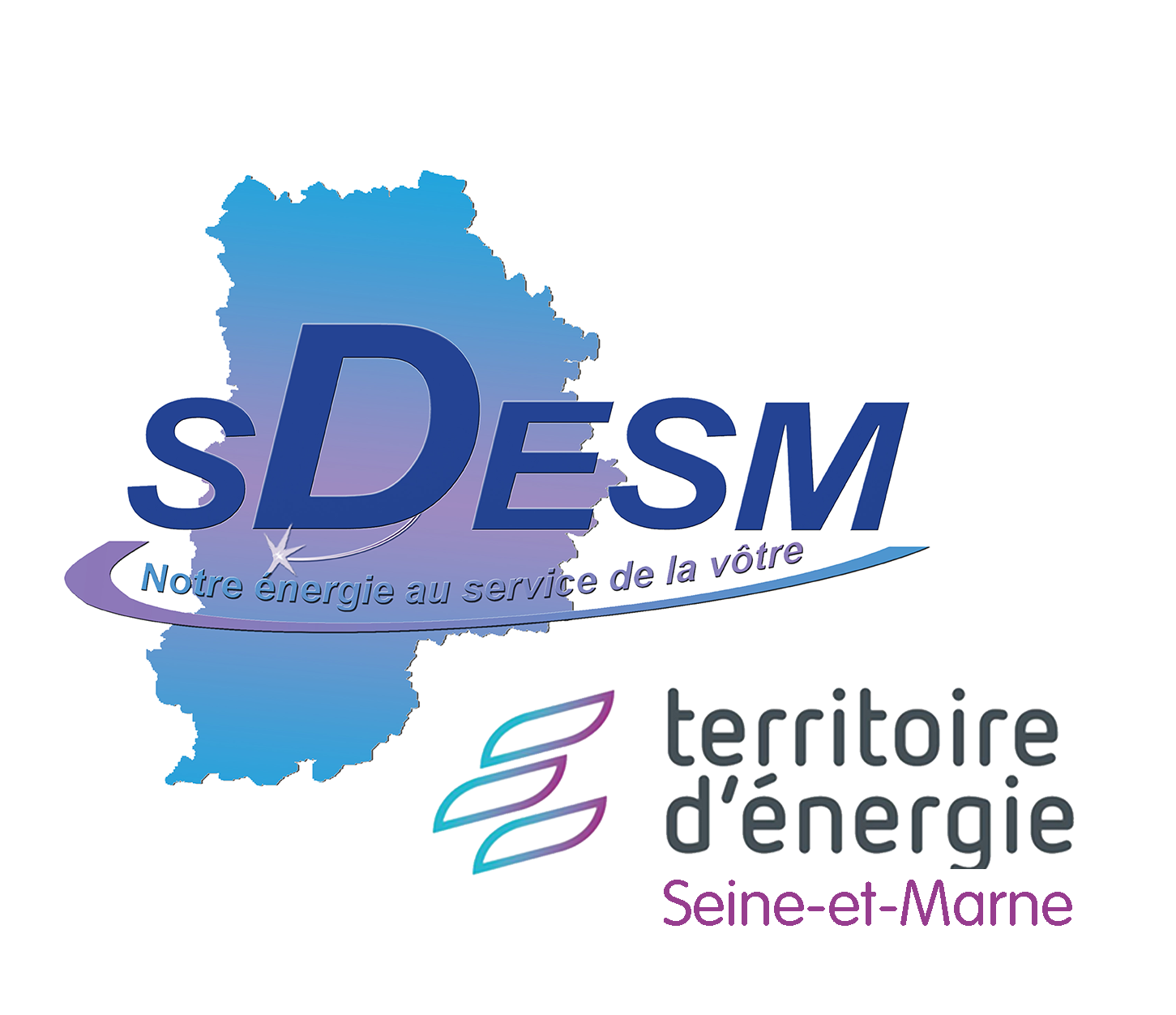 sdesm logo